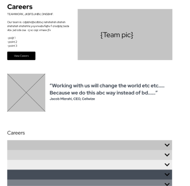 wireframe of the careers page